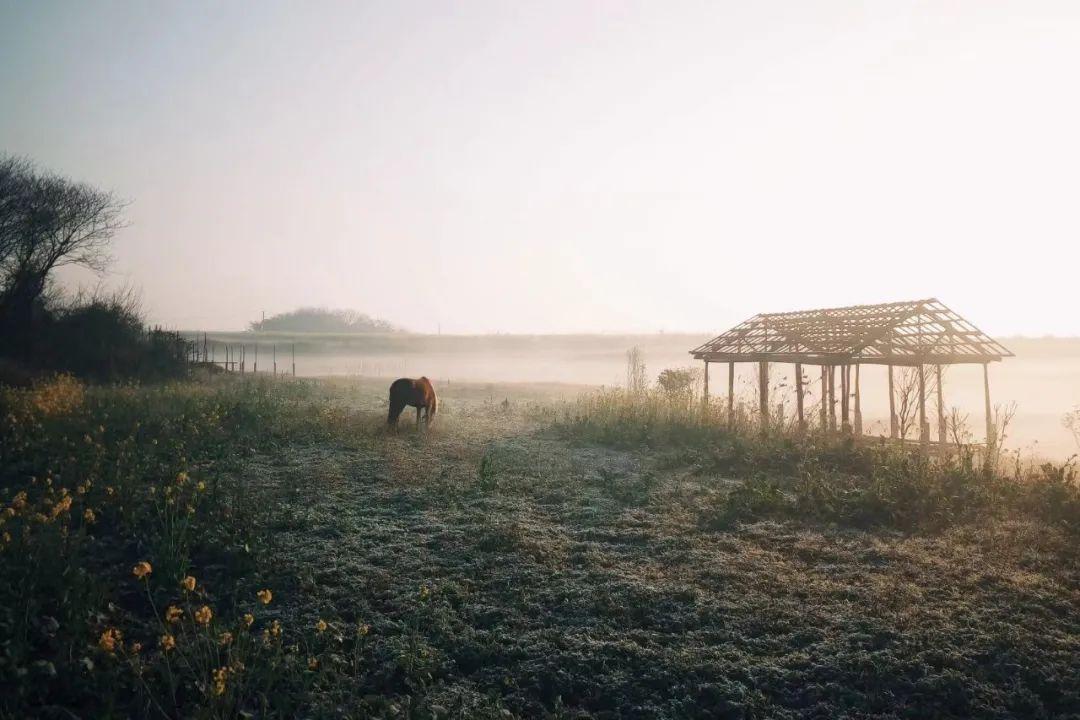 旅游 第22页