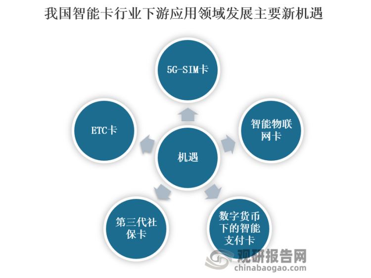 最新专业卡的深度解析与应用前景